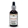 Ashwagandha 60ml Sans alcool