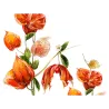 Ashwagandha 60ml