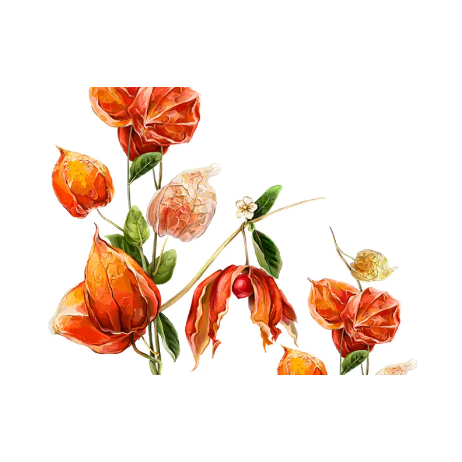 Ashwagandha 60ml