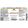 Astragale
