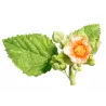 Astragale