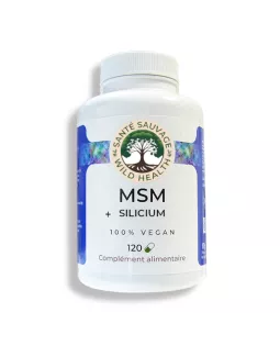 MSM + SILICA - 120 capsules NEW FORMULA