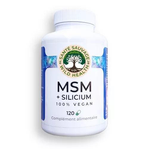 MSM + SILICA - 120 capsules NEW FORMULA