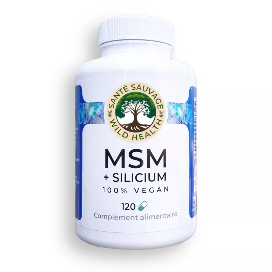 MSM + SILICA - 120 capsules NEW FORMULA
