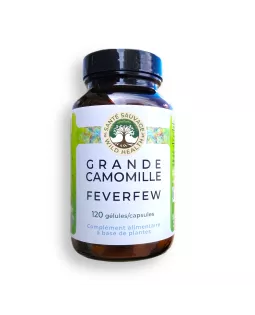 Feverfew