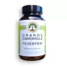 Feverfew