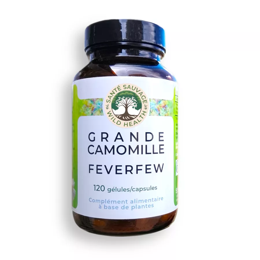 Feverfew