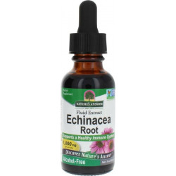 ECHINACEA ROOT Nature's Answer