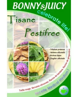 Tisane, tous les bienfaits pour la santé