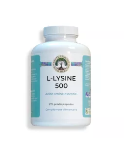 L-LYSINE 500